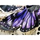 Yolanda Fleurs Avec Isabella Butterfly Collar(Stock is low)